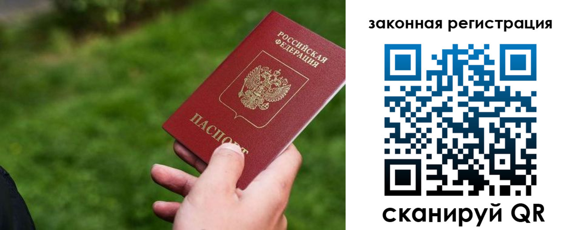 прописка законно в Высоковске